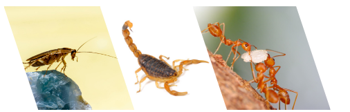 Post para Instagram Marketing